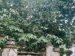 -凤来栖·净庭院·火锅(欧尚店)