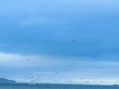 -那香海钻石沙滩浴场