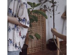 -LuluCake·路鹿蛋糕