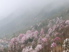 -九皇山景区
