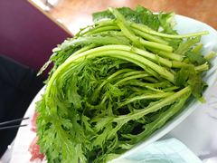 蔬菜拼盘-安缘斋涮肉