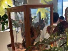 -一尺花园(安和花园店)