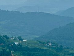 -中和远东火锅兔(老店)