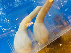 -鼎鼎香·港式火锅(北京SKP店)