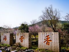 -香雪海