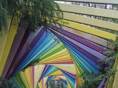 -合肥滨湖国家森林公园