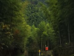 -四明山国家森林公园