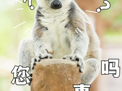 -上海野生动物园