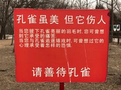-北京麋鹿生态实验中心