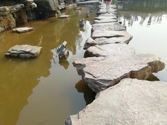 -枫香湖儿童公园