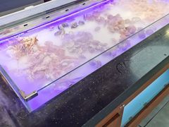 -阳光牧场自助餐厅(宝德购物中心店)