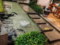 -大理老字号·舟渔的鱼野生菌海景餐厅(双廊店)