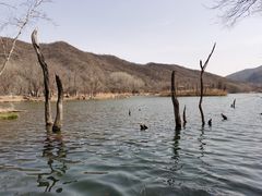 -玉渡山自然风景区