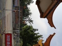 -金砂公园