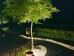 -汤山温泉房车营地 茶温泉