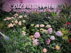 -人民公园(罗湖区)