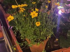 -时光乌托邦空中花园餐厅川味·融合菜(幸福广场店)