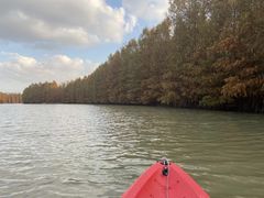 -上海海湾国家森林公园