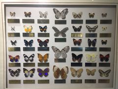 -上海昆虫博物馆