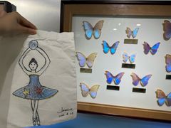 -上海昆虫博物馆