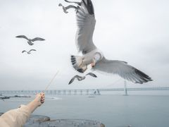 -星海广场