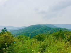 -北京西山国家森林公园