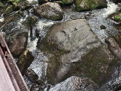 -茅兰沟国家森林公园