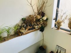 用餐区-唐咖精品咖啡(大理古城手冲店)