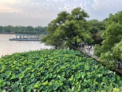 -湖畔居茶楼(湖滨店)