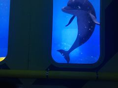 -珠海横琴国家地理探险家中心(创新方)