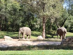 -北京野生动物园