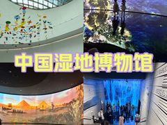 -中国湿地博物馆