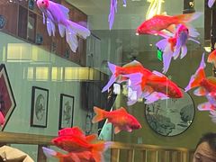 -原鄉本味 楚菜 丹江口鱼(北苑店)