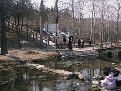 -白水寺森林公园