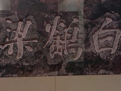 -白鹤梁水下博物馆