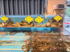 -韩记海鲜饺子旗舰店(红海新区店)