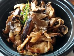 -普兰达德国餐厅·德式脆皮烤猪肘·自酿啤酒(观唐店)