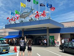 -南纪白浜Toretore市场