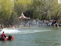 -大兴滨河森林公园