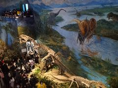 -自贡恐龙博物馆