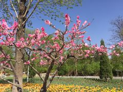 -廊坊文化艺术中心