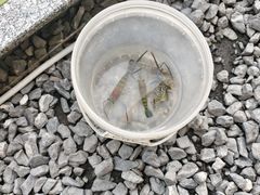 -DGE季风钓虾营地·团建·聚会