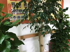 -上海市静安区闸北中心医院