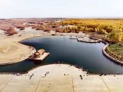 -金塔沙漠胡杨林景区