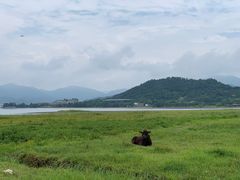 -四明山国家森林公园