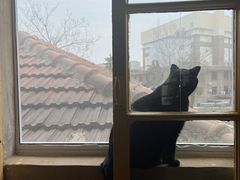 -春风十里咖啡馆