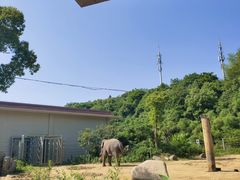 -宁波野生动物园
