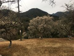 -广州市石门国家森林公园