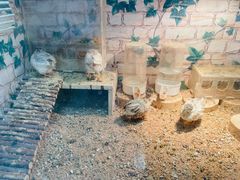-美联众合爱康动物医院•复杂内科•肿瘤科•牙科•腔镜诊疗中心