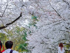 -杭州少年儿童公园